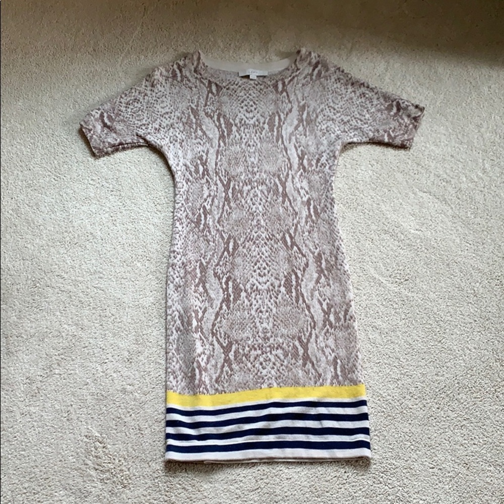 LOFT Snakeskin Print Dress with Stripe Accent